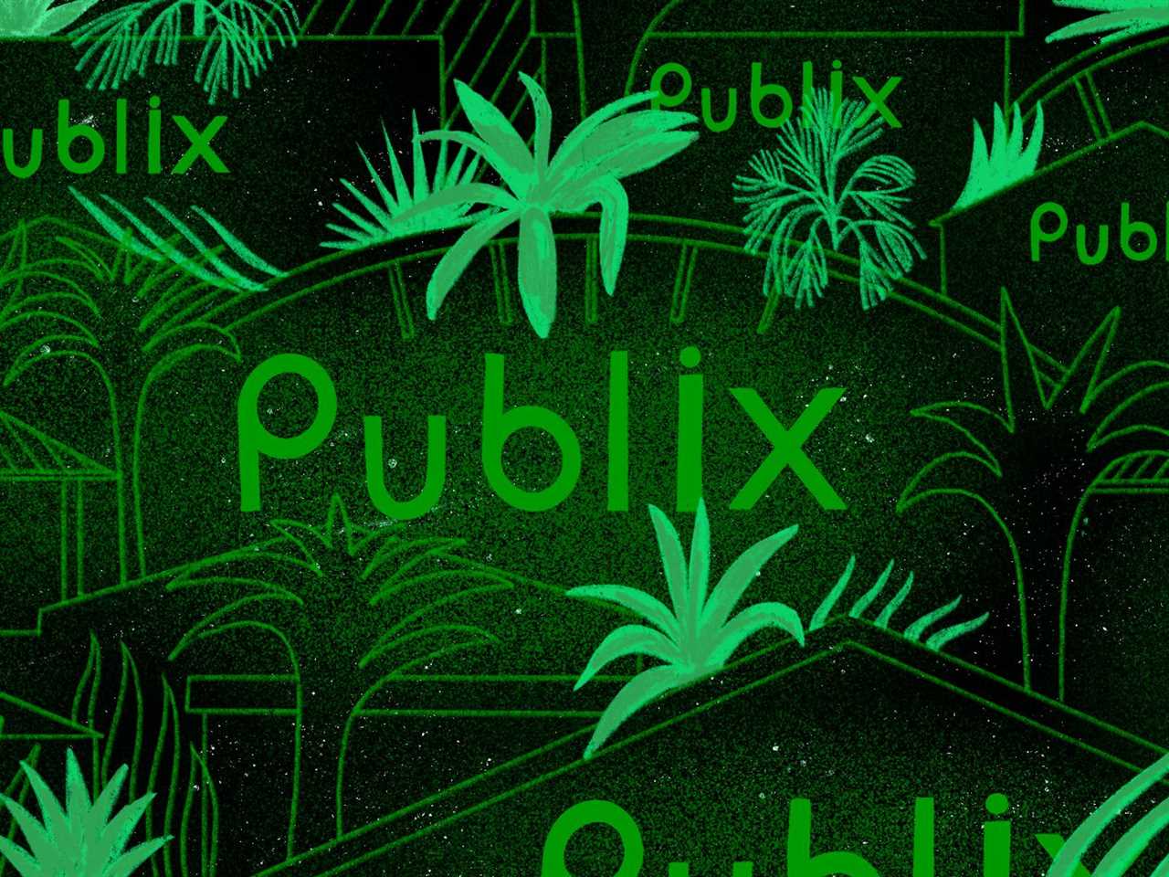 A scene filled with Publix stores with glowing signs and lots of palm trees.