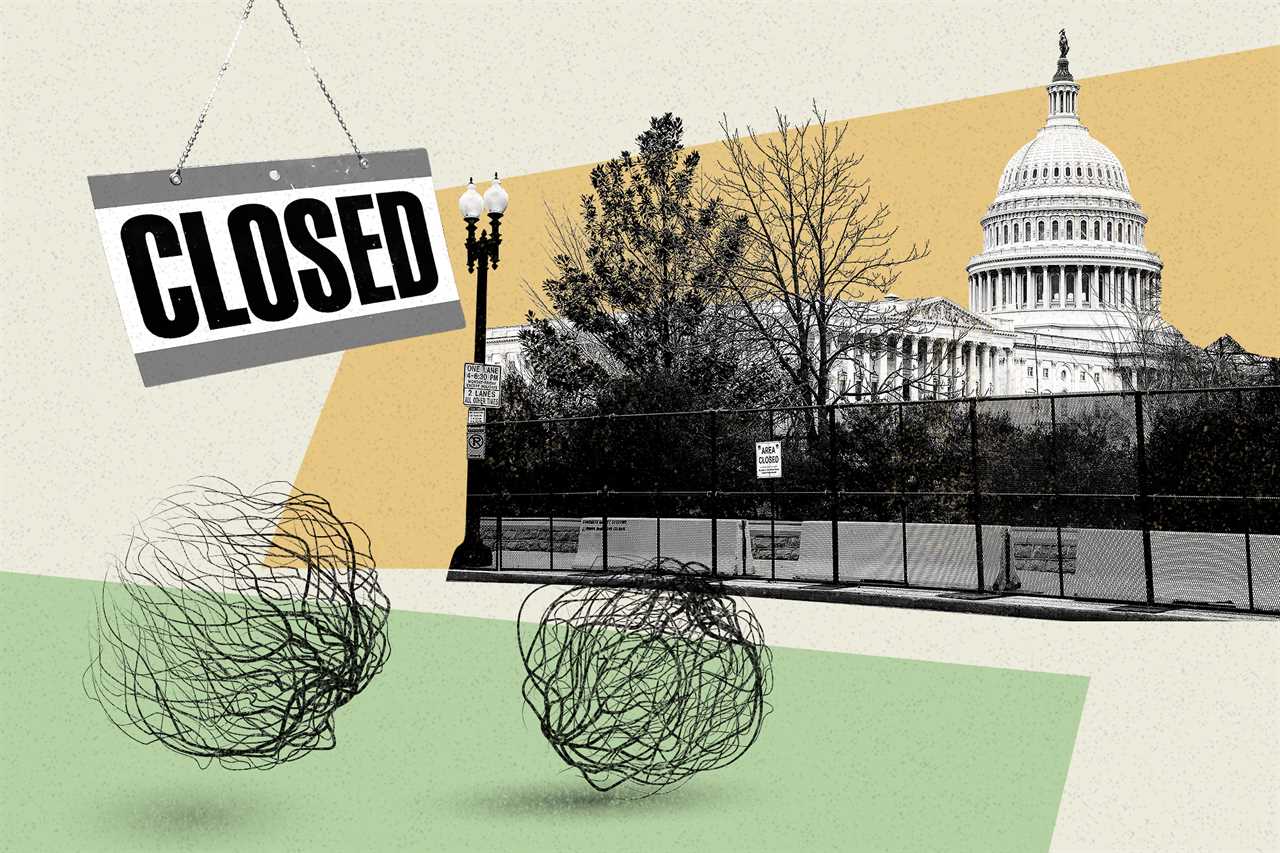 What if the government shut down and no one noticed?