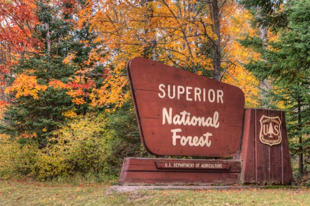 The 8 best places to visit in Minnesota during the Fall season 2023