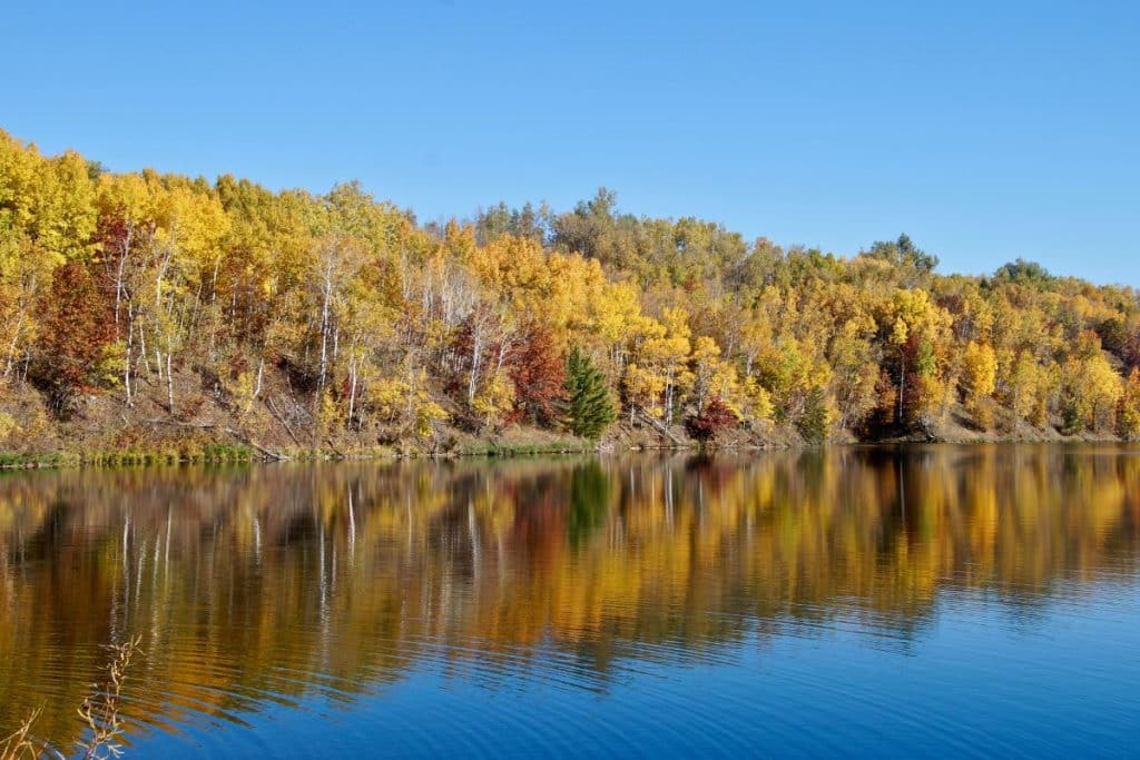 The 8 best places to visit in Minnesota during the Fall season 2023