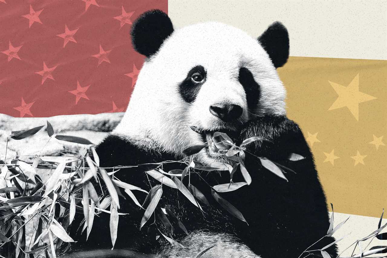 Washington's Pandas are facing a new Cold War