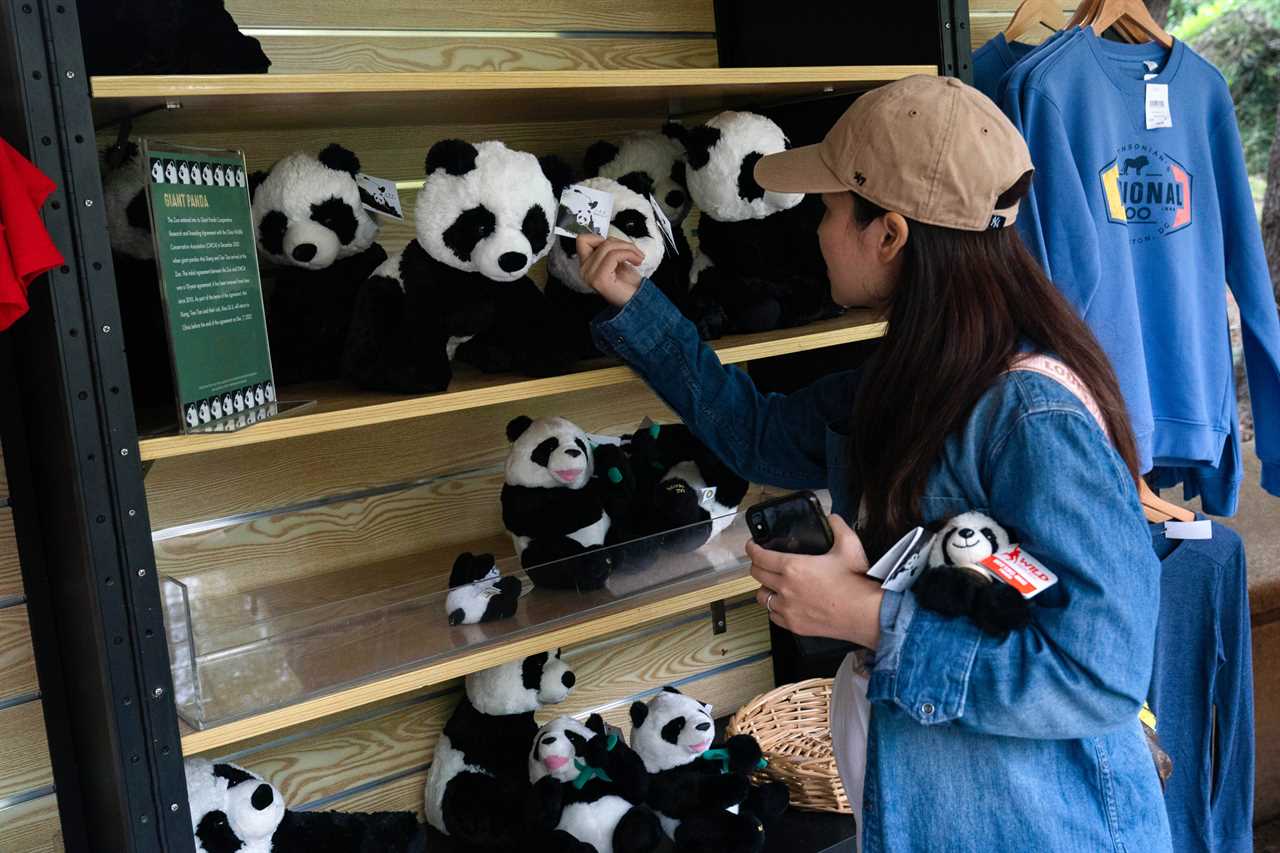 Washington's Pandas are facing a new Cold War