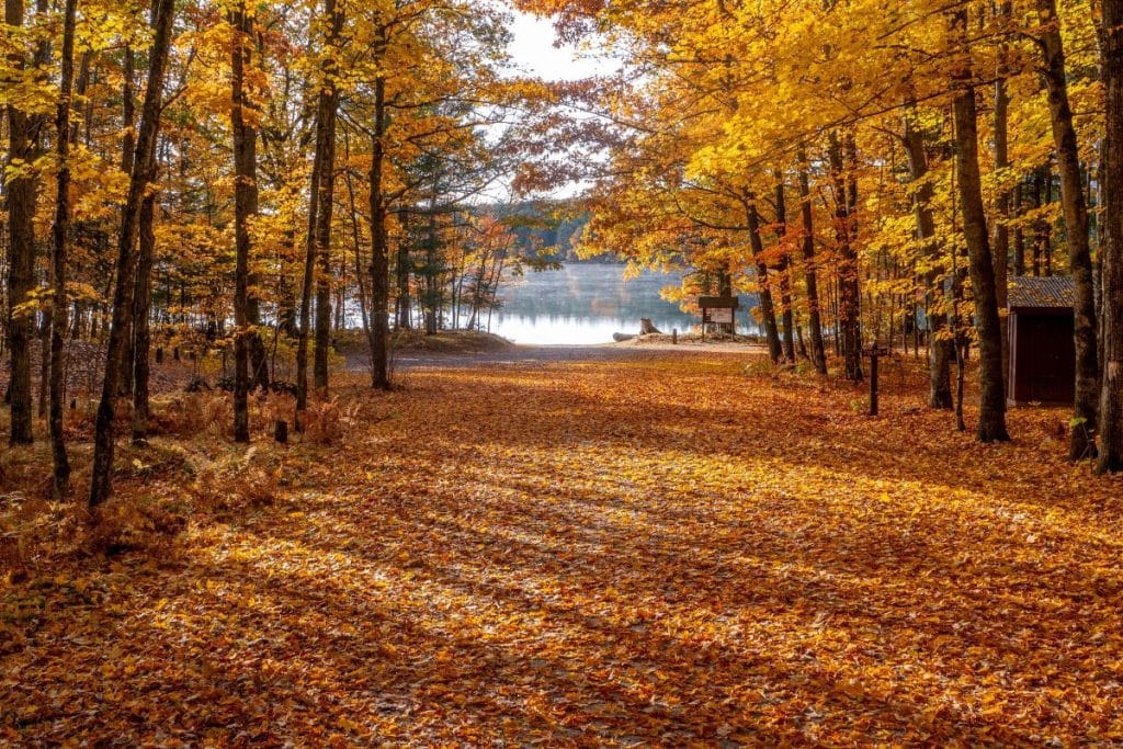 Eight Best Places to Visit in Wisconsin Fall 2023