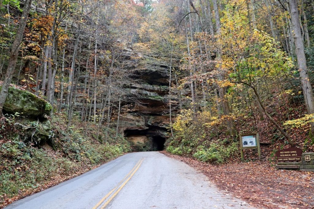 Three of the most scenic U.S. drives for leaf peeping are in Kentucky