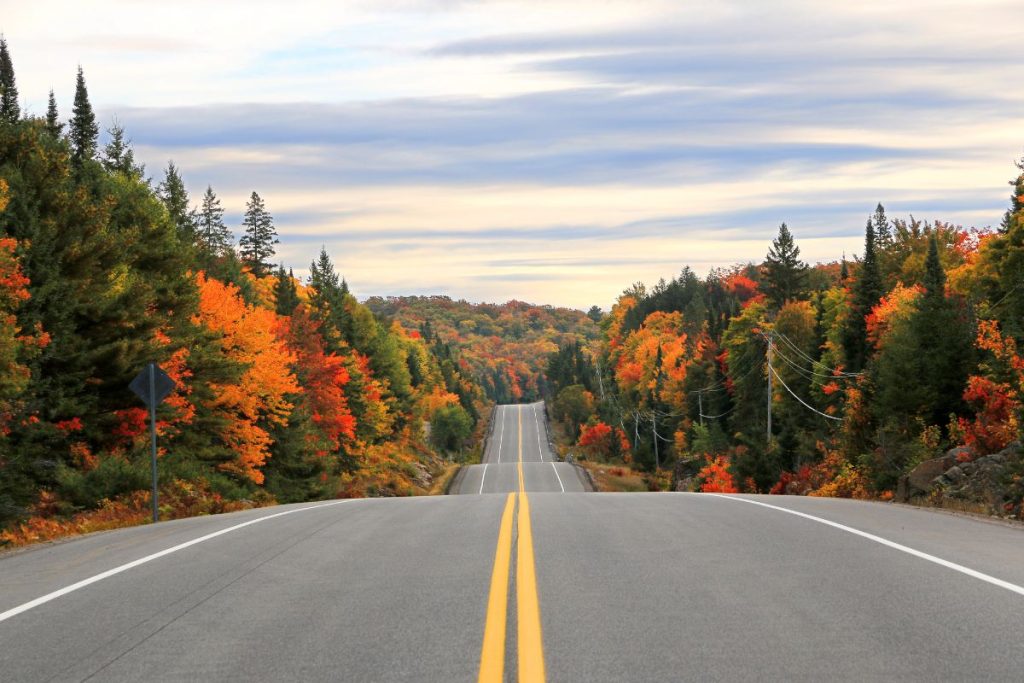 Ontario's Top 3 Scenic Fall Road Trips for Spectacular Foliage