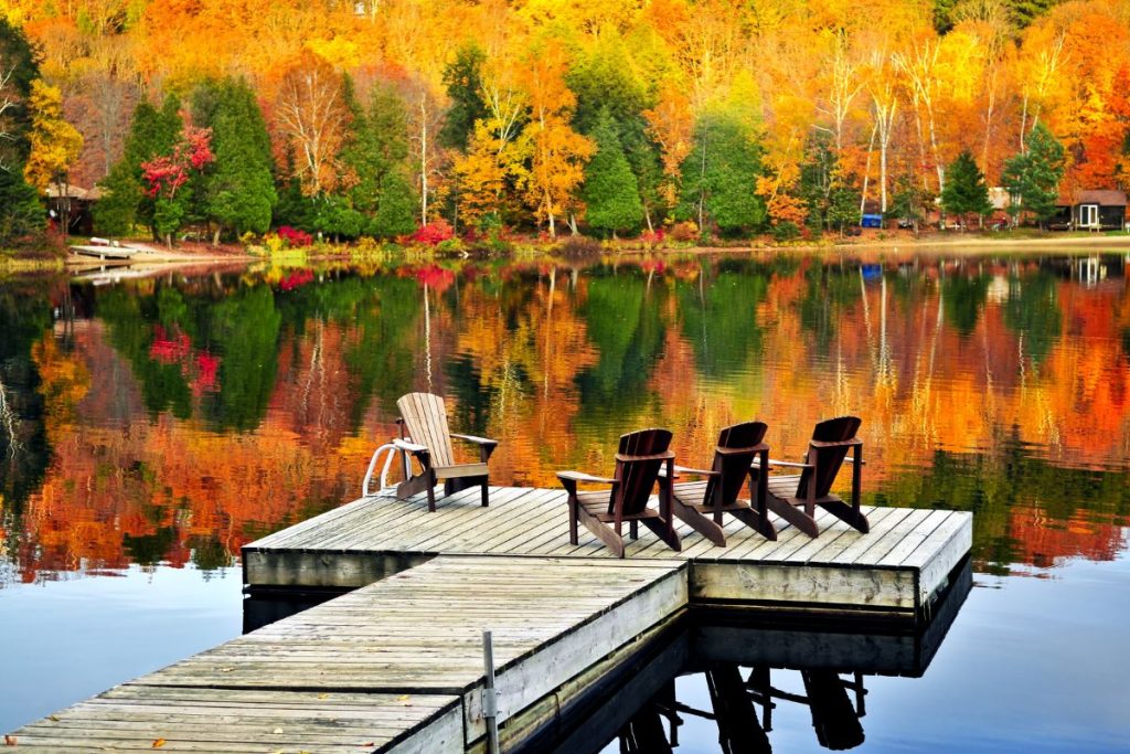 Ontario's Top 3 Scenic Fall Road Trips for Spectacular Foliage