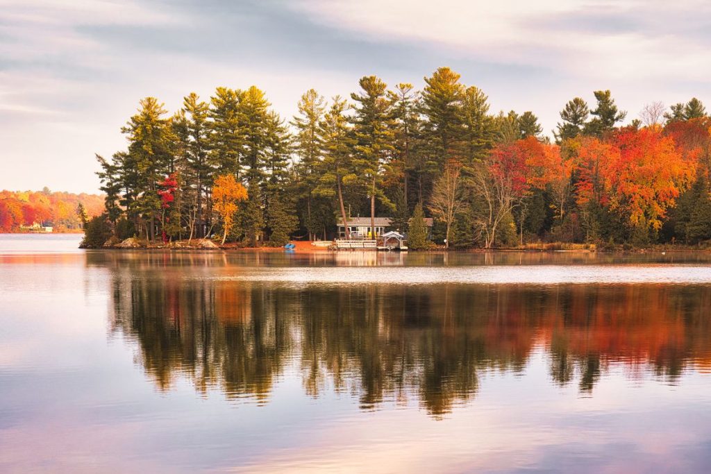 Ontario's Top 3 Scenic Fall Road Trips for Spectacular Foliage