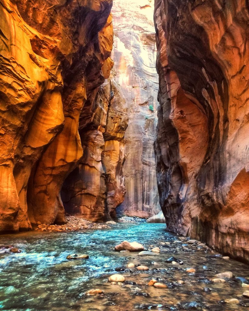 Visiting Zion National Park? The Post-Pandemic Considerations You Should Make
