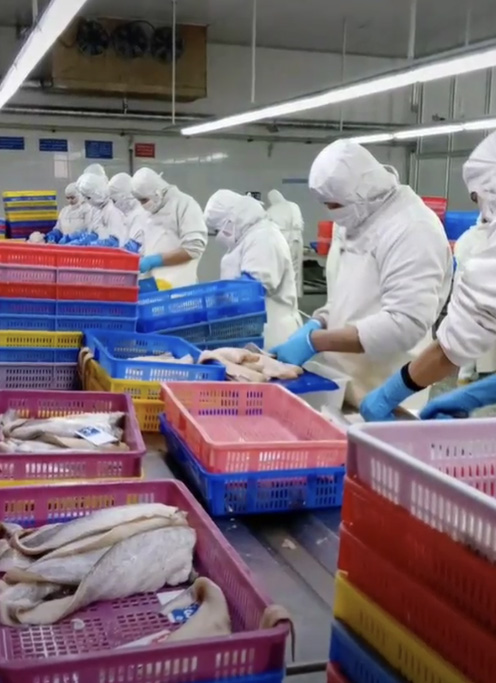 Chinese Forced Labor Processed the Fish Sticks in Your Kid’s School Lunch