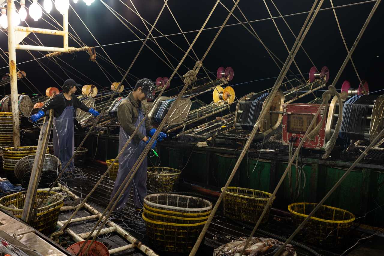 Chinese Forced Labor Processed the Fish Sticks in Your Kid’s School Lunch