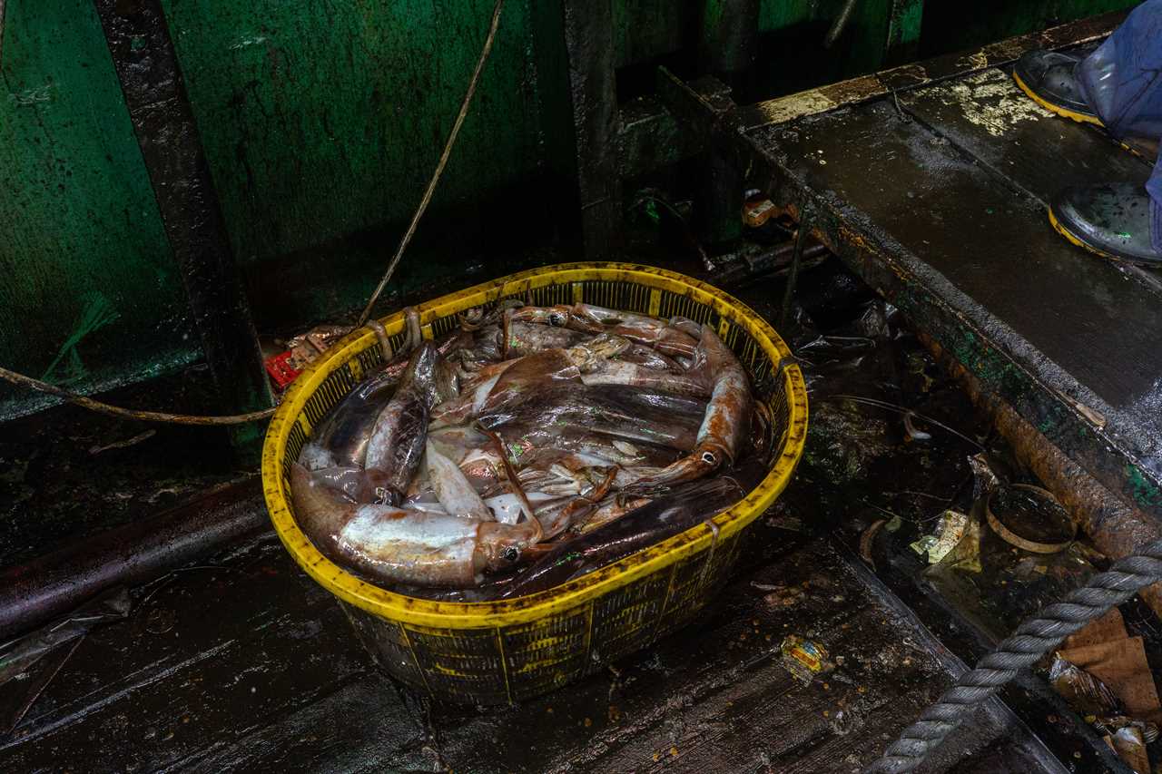 Chinese Forced Labor Processed the Fish Sticks in Your Kid’s School Lunch