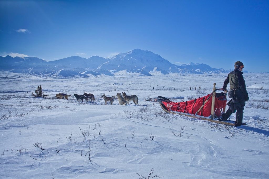Embracing Alaska’s Winter Wonderland: A Guide to Weathering the Chill in Anchorage