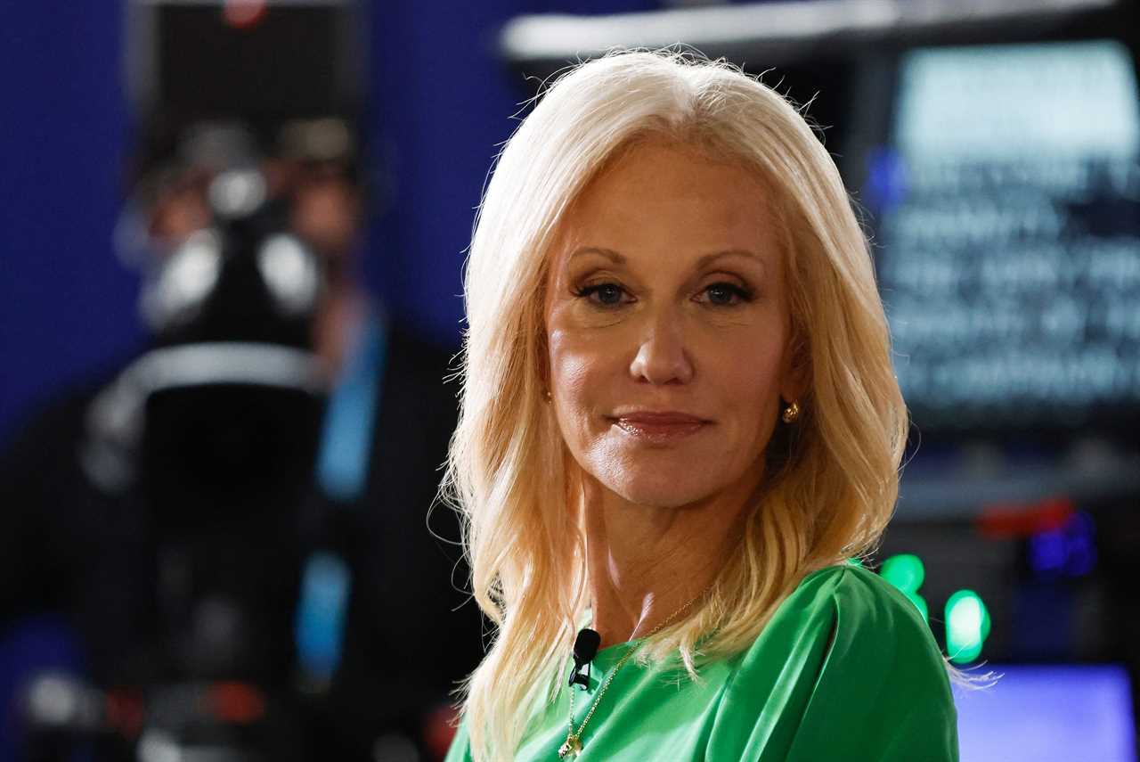 Kellyanne Conway to GOP: Focus on contraception