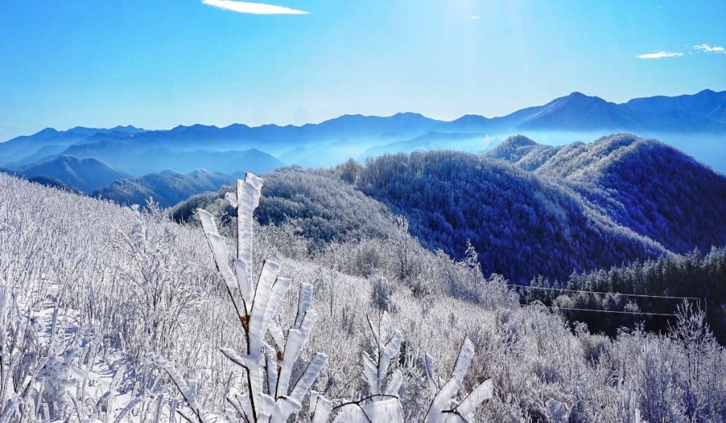 10 Best Places To Visit In Virginia State This Winter