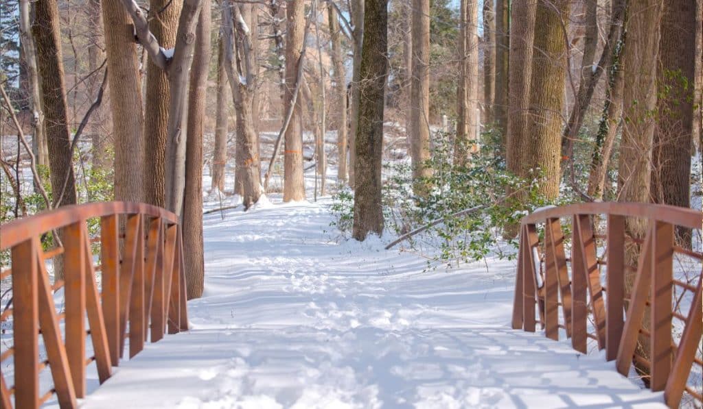 10 Best Places To Visit In Virginia State This Winter