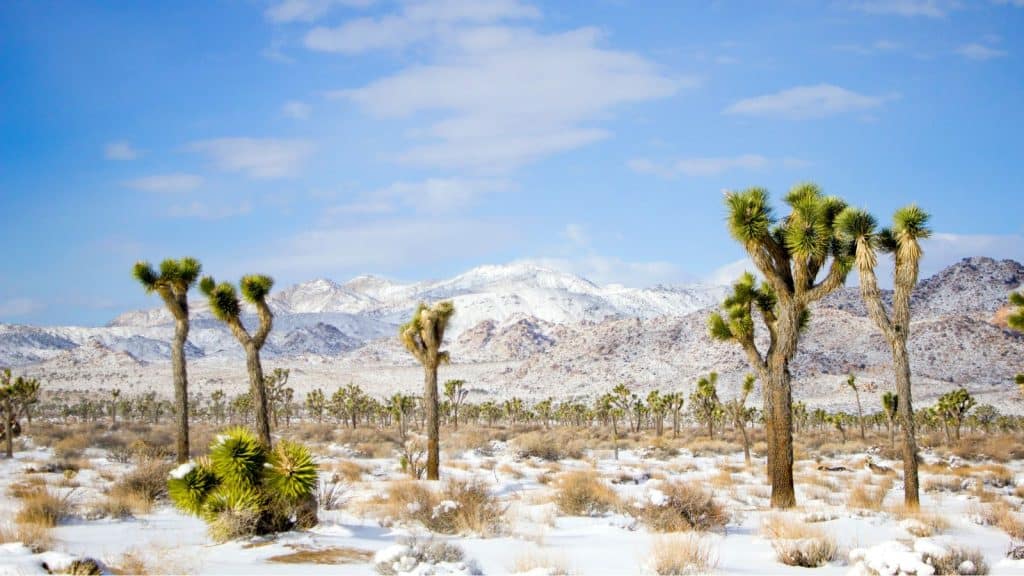 10 Best Places To Visit In California State This Winter