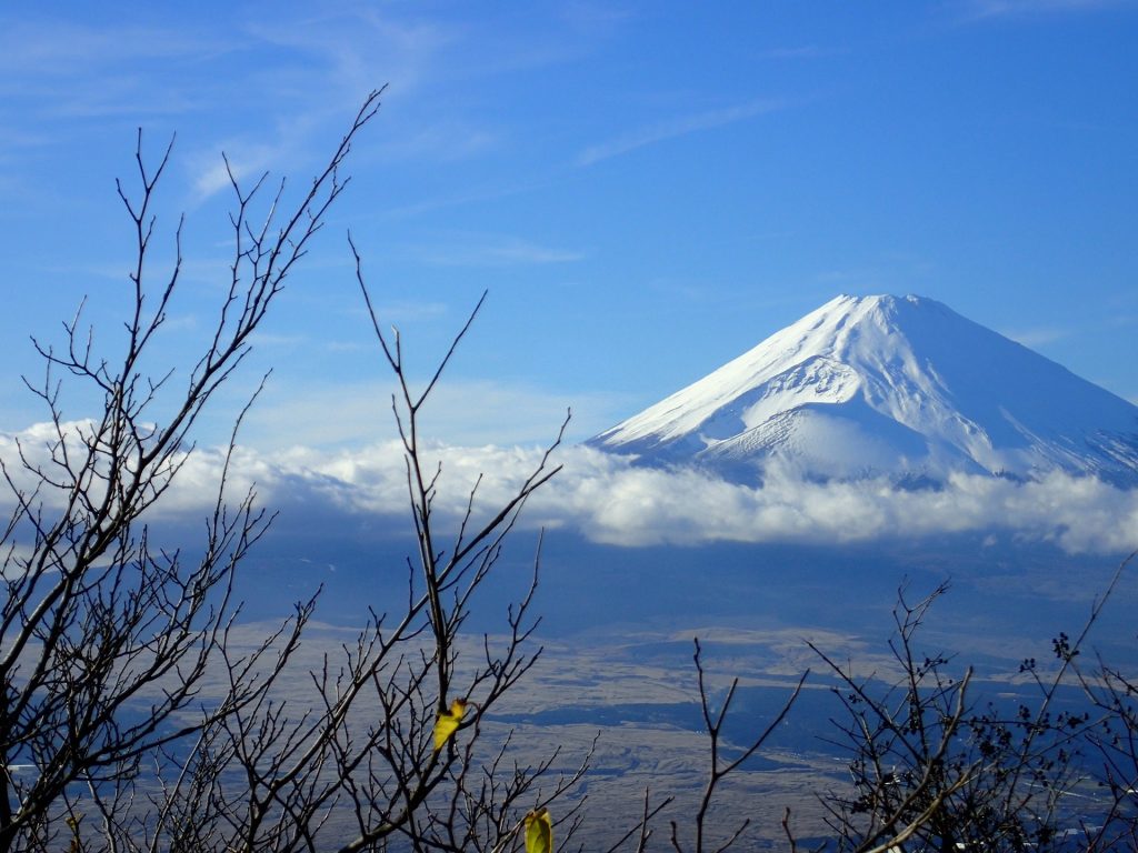 Hakone’s Exclusive Retreats: A Blend of Heritage and Opulence