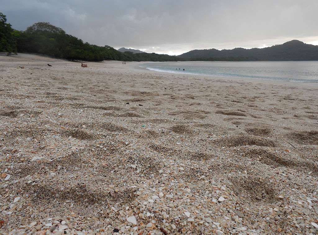 playa conchal pacific coast beach of costa rica