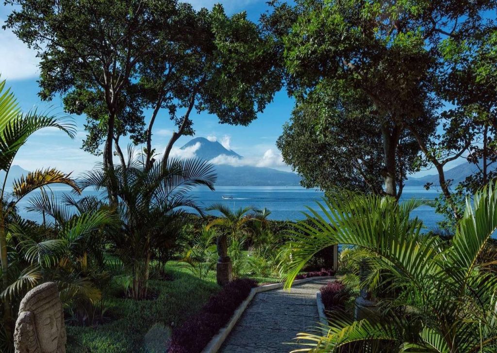 view of lake atitlan from a shore full of trees and plants