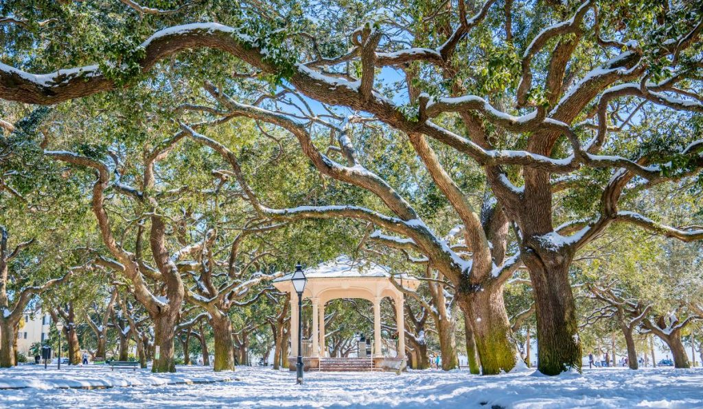 South Carolina's Best Winter Vacation Spots