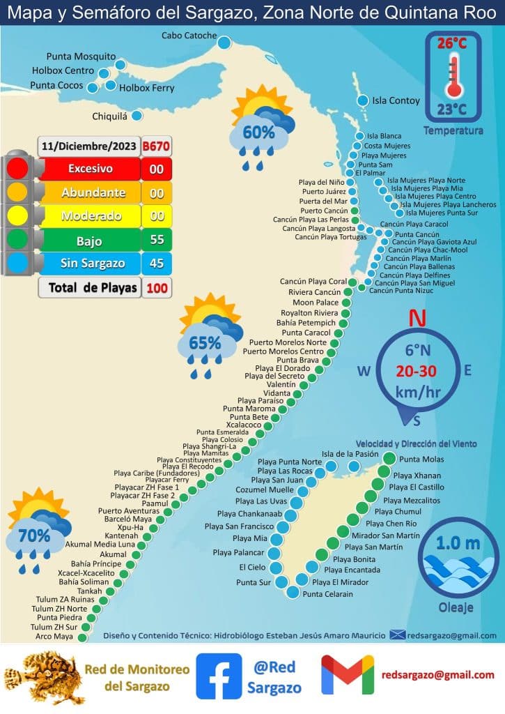 Sargassum CANCUN: Latest Seaweed Forecast, Updates, Photos 2024