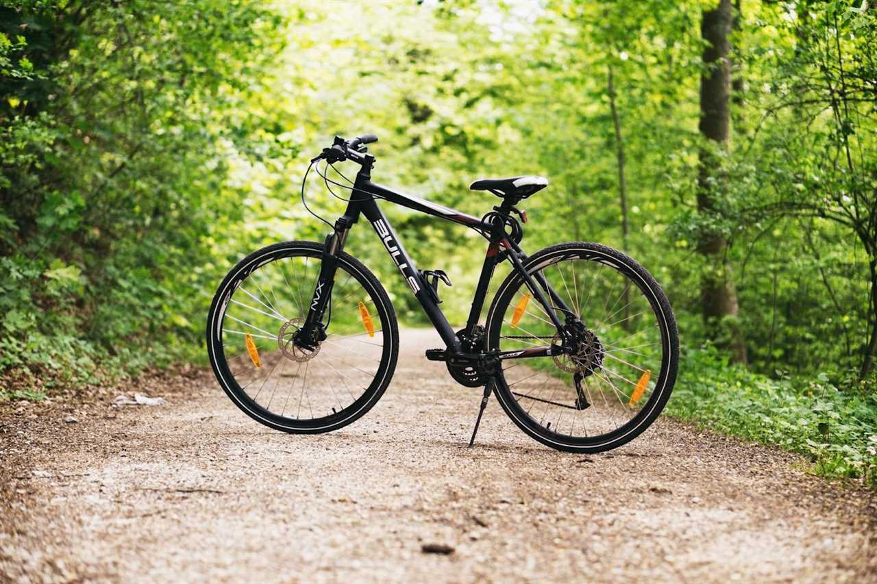 Where to Rent a Bicycle if You Travel to South Carolina