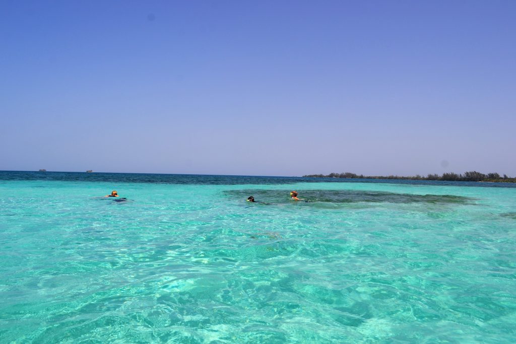 people snorkeling in utila honduras