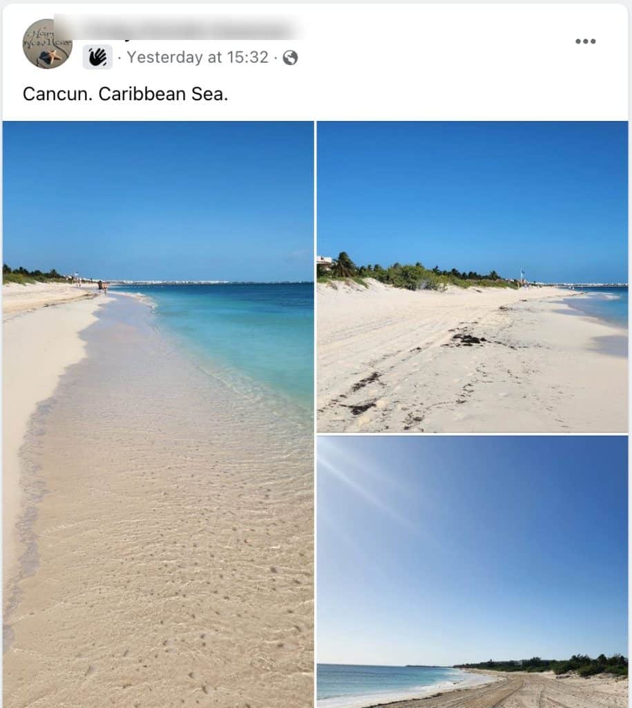 Sargassum is not found on most beaches in the Mexican Caribbean until early February