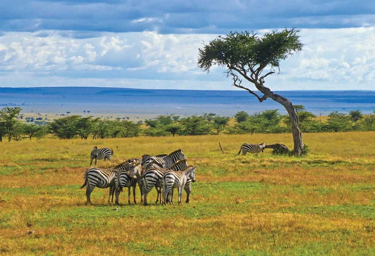 Exploring Kenya: A Journey Through Rich Culture and Breathtaking Landscapes