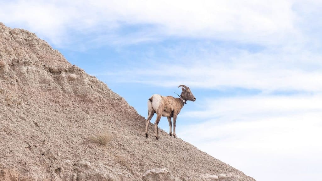 Why you should visit this underrated U.S. National Park by 2024