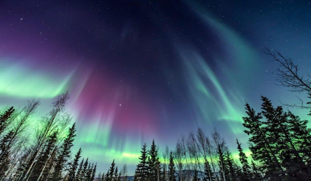 Expedia Reveals Top Destinations to See Northern Lights in 2024