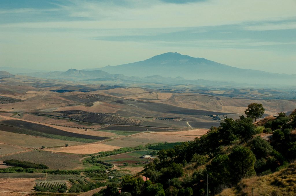 The Wine Lover’s Complete Guide for Exploring Iconic Italian wine Regions