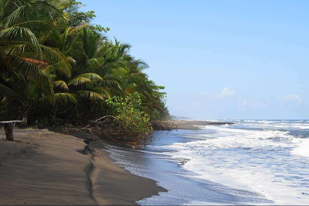 beach in corcovado national park costa rica