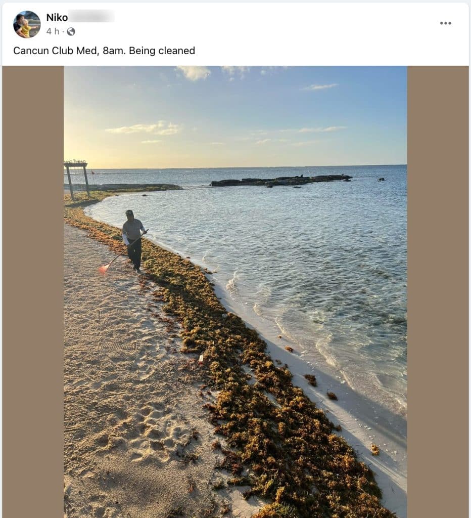 Latest Report Shows Increased Arrival Of Sargassum In The Mexican Caribbean