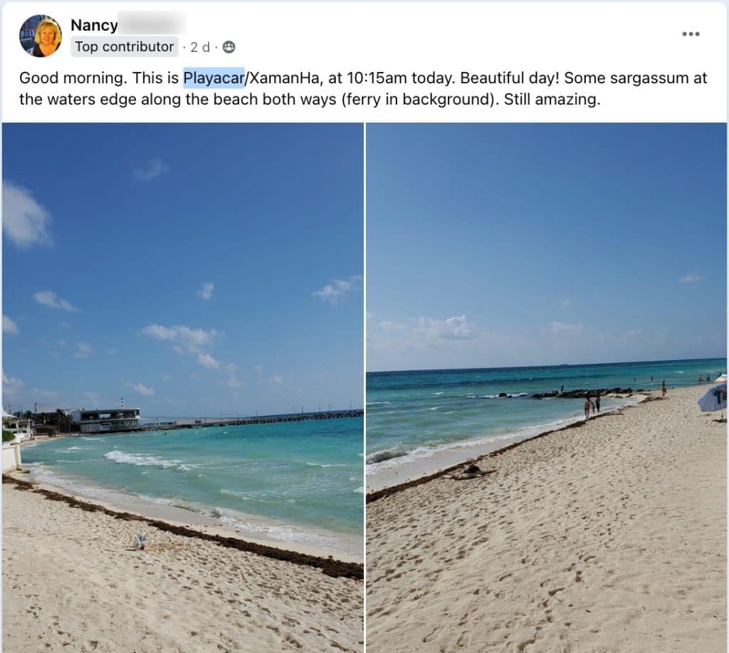 Latest Report Shows Increased Arrival Of Sargassum In The Mexican Caribbean