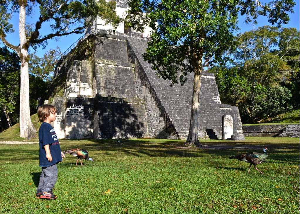 kid wildlife tikal temple guatemala