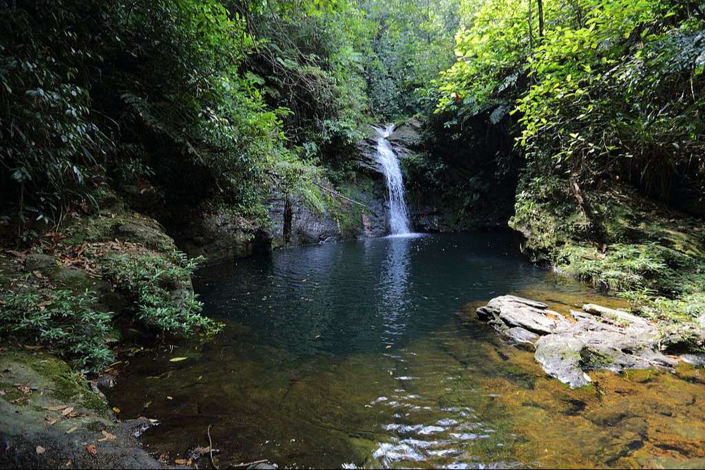 waterfall and river in Cockscomb Basin Wildlife Sanctuary Belize