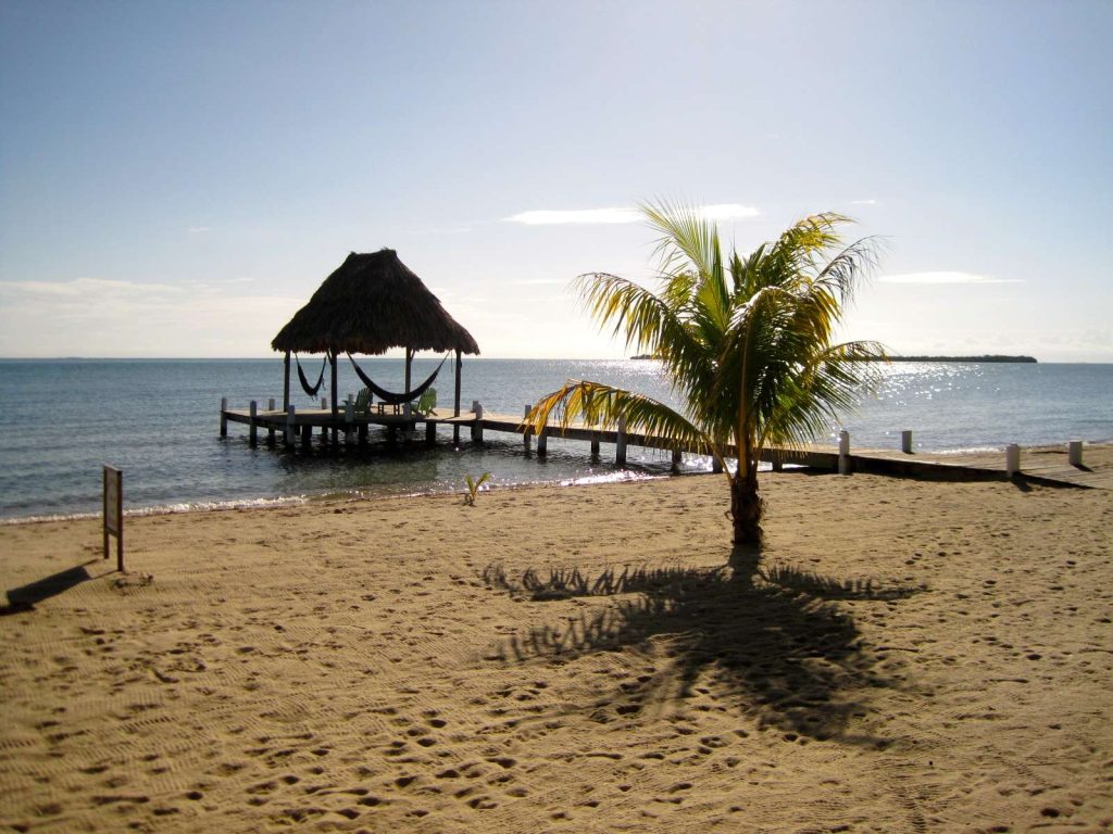 a dock under the sun of the caribbean sea in belize