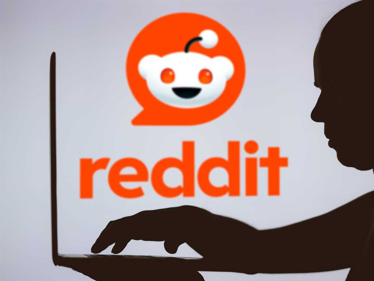 In this photo illustration, the Reddit logo is seen in behind a silhouette of a person typing.