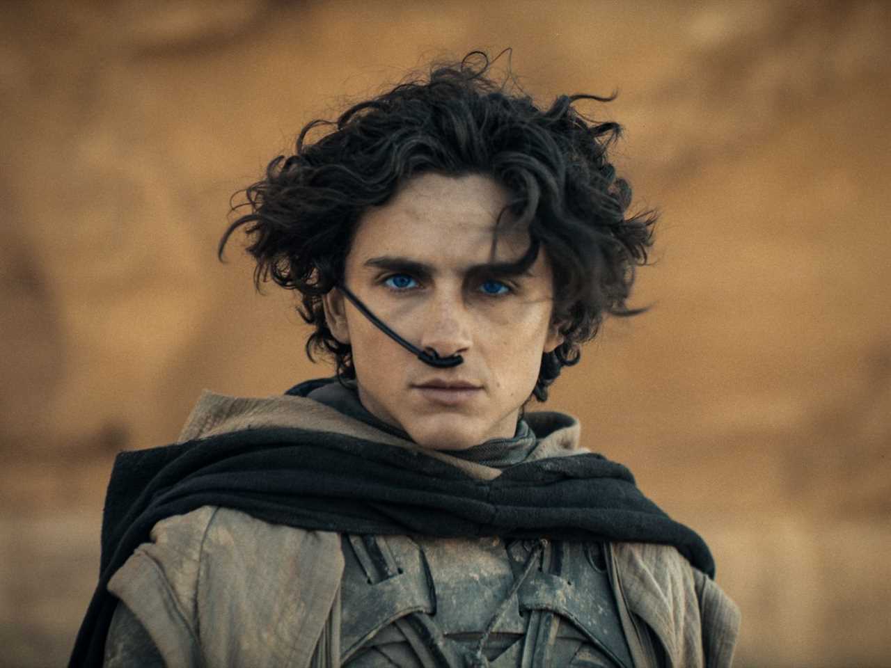 Timothée Chalamet gazing fixedly into the camera while wearing desert garb with a breathing tube in his nose, from the movie Dune: Part Two.