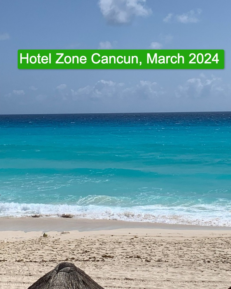 Mexican Caribbean Reports Massive Reduction of Seaweed on the Beaches in 2024