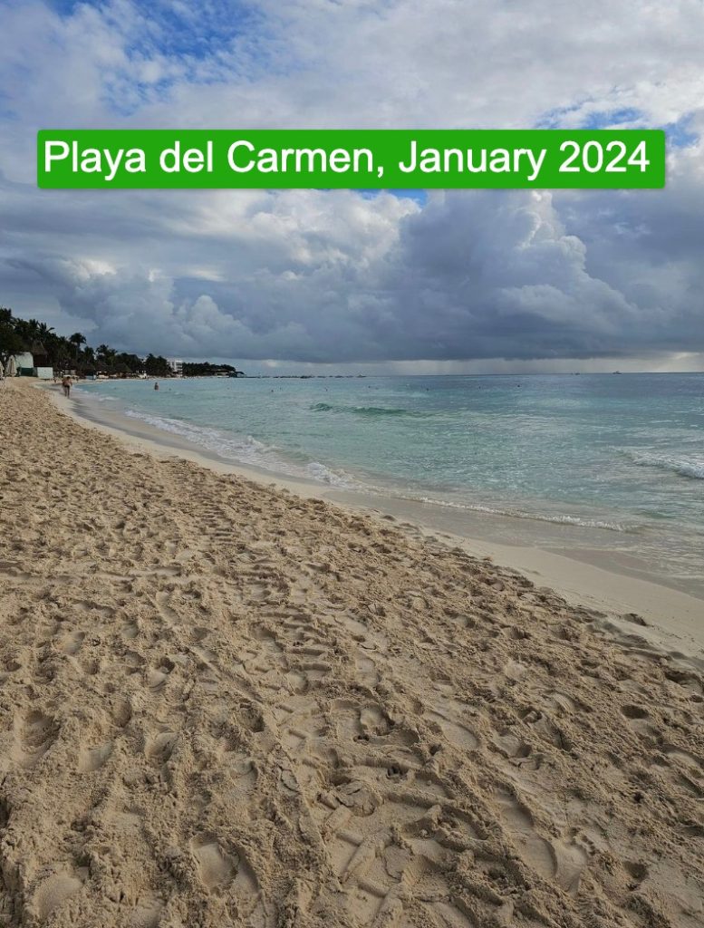 Mexican Caribbean Reports Massive Reduction of Seaweed on the Beaches in 2024