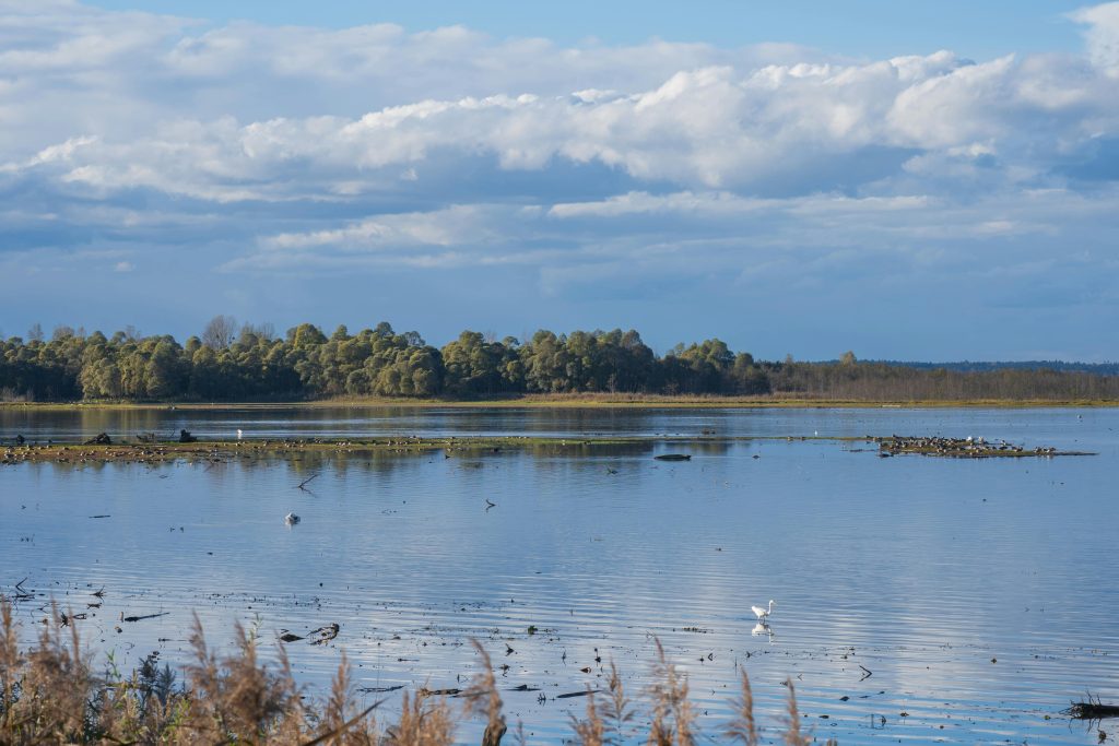 Airboat Tours in Everglades National Park