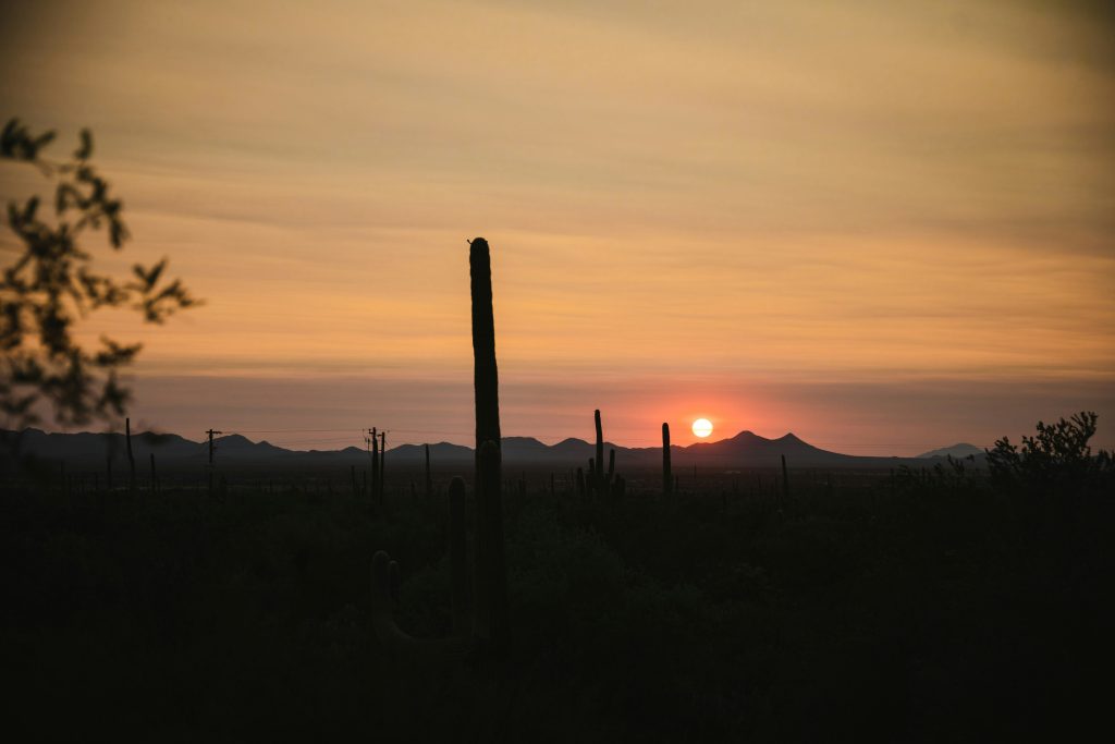 Exploring the Culture and History Behind Tucson's Culinary Offerings