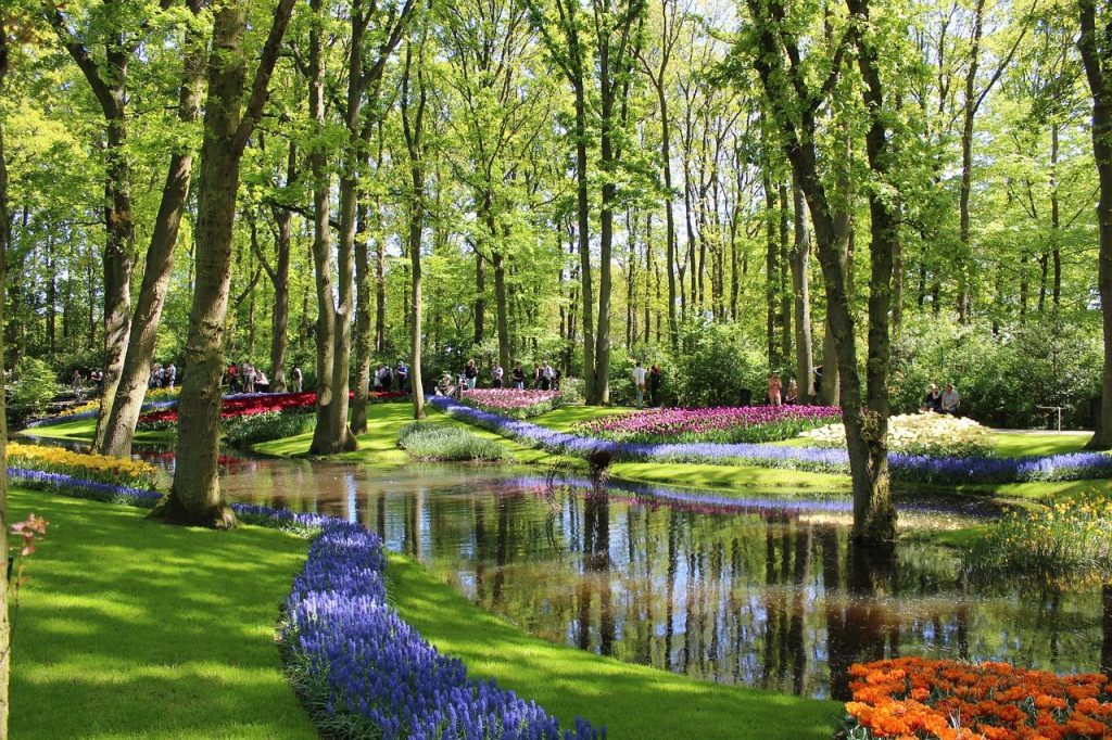 Keukenhof Floral Park Group Tour from Amsterdam