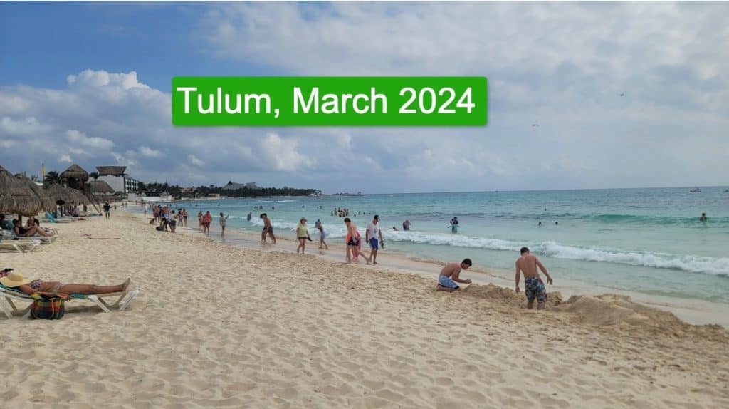 Tulum Locals And Vendors Reported Less Sargassum In 2024