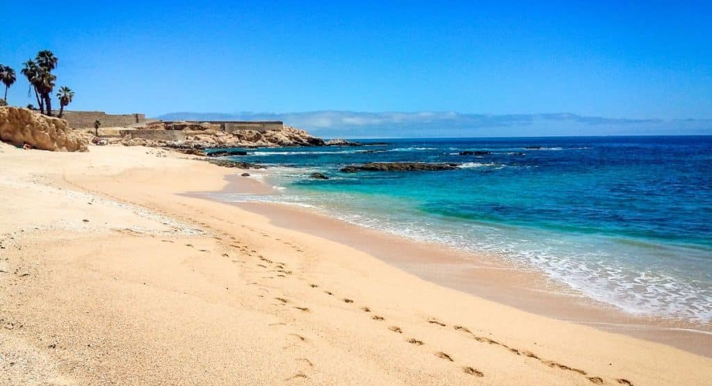 5 Best Swimmable Beaches In Los Cabos In Spring 2024