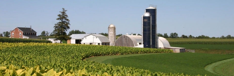 5+ Of The Best Farm Tours in Lancaster, PA - LancasterPA.com