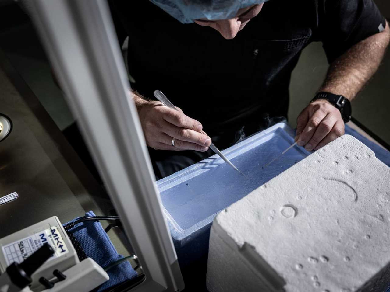 An embryologist uses a tool on a tank of liquid nitrogen.