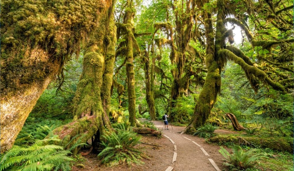 Olympic National Park